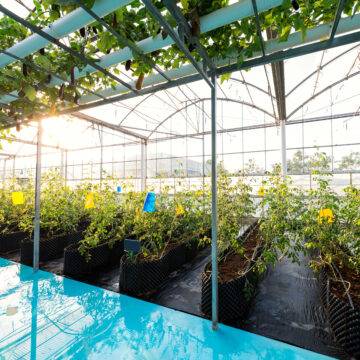Efficient Home and Commercial Chillers